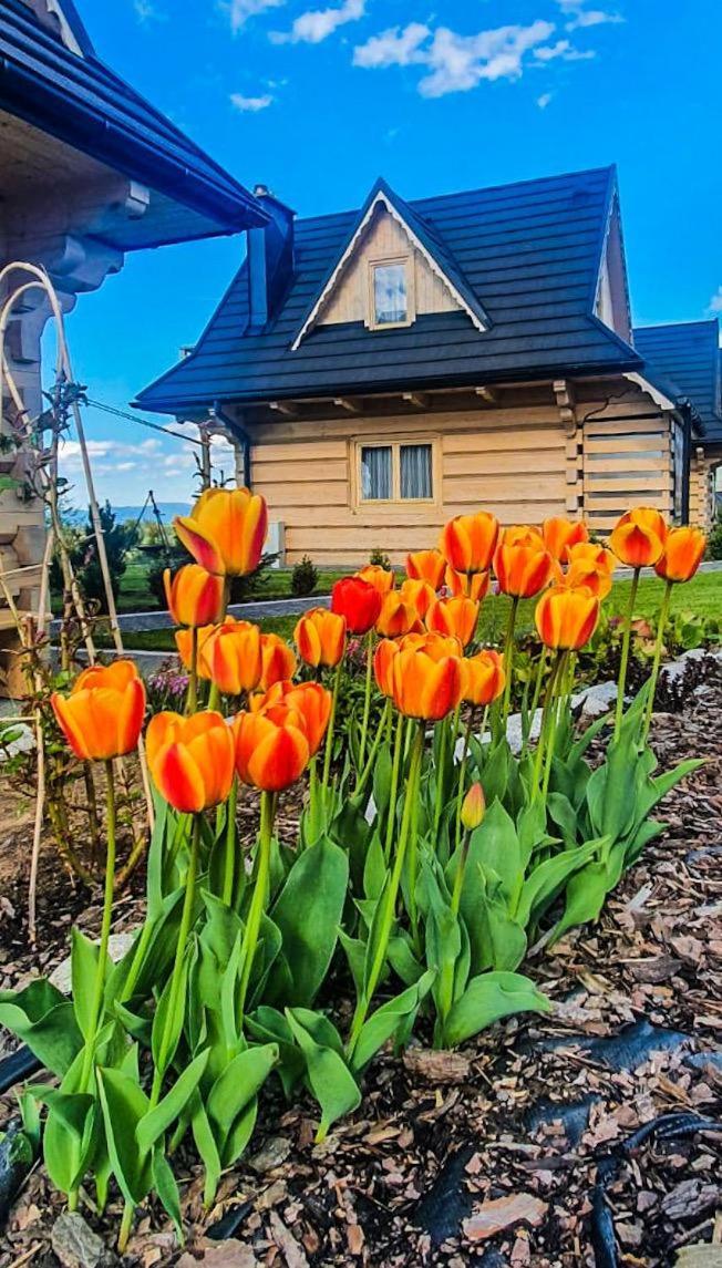 Domki Górskie Janosik, Kwicoł i Pyzdra Gliczarów Exterior foto