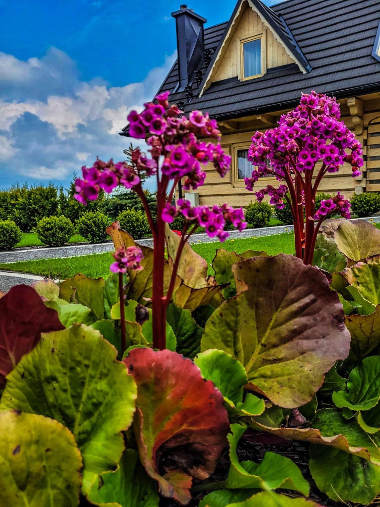 Domki Górskie Janosik, Kwicoł i Pyzdra Gliczarów Exterior foto